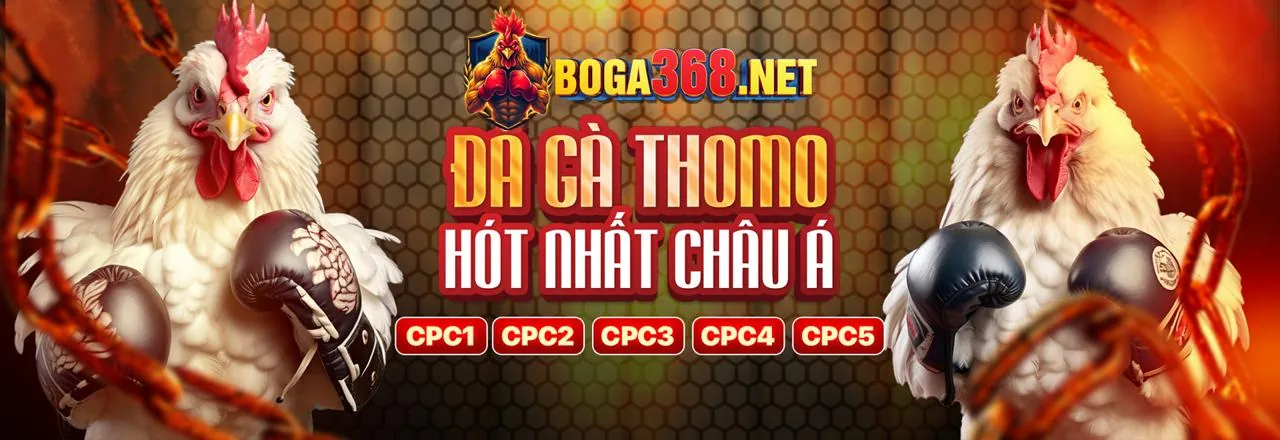 Hướng dẫn tải và cài đặt vin68 apk
