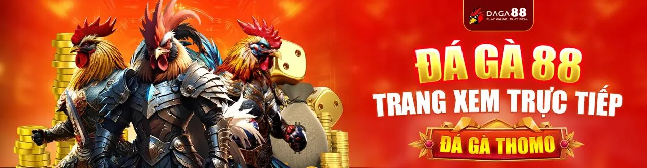 Hình ảnh đá gà trực tuyến sôi động tại vin68 apk
