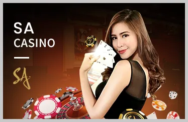 Hướng dẫn chi tiết cách chơi đá gà trên ứng dụng vin68 apk